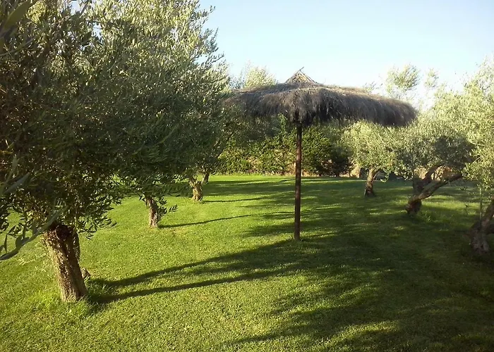 Apartment Campotondello *